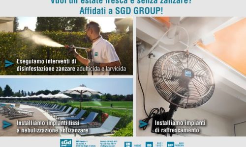Immagine-sito-SGD-Group-per-Consorzio-Universo-Treviso